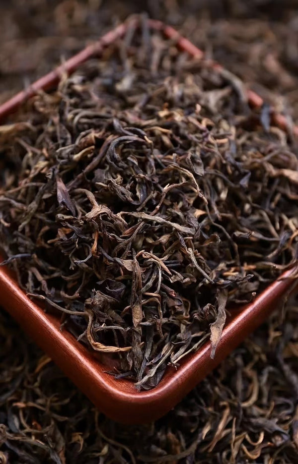 2004 Bulaang Mountain Raw Pu-erh – 800-Year-Old Ancient Tree